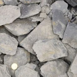 Spaxes Boutique -Spaxes Boutique paillettes dardoise 50 100 1