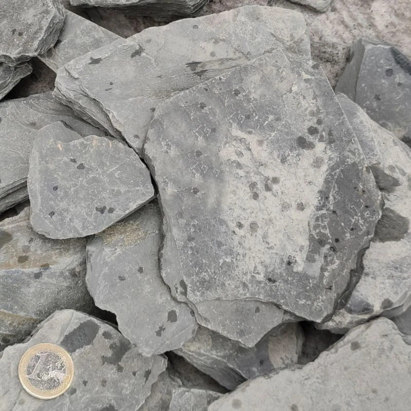 Paillettes D’ardoise Angers-Trélazé - 50/100 2 Paillettes D’ardoise Angers-Trélazé - 50/100 – Image 2