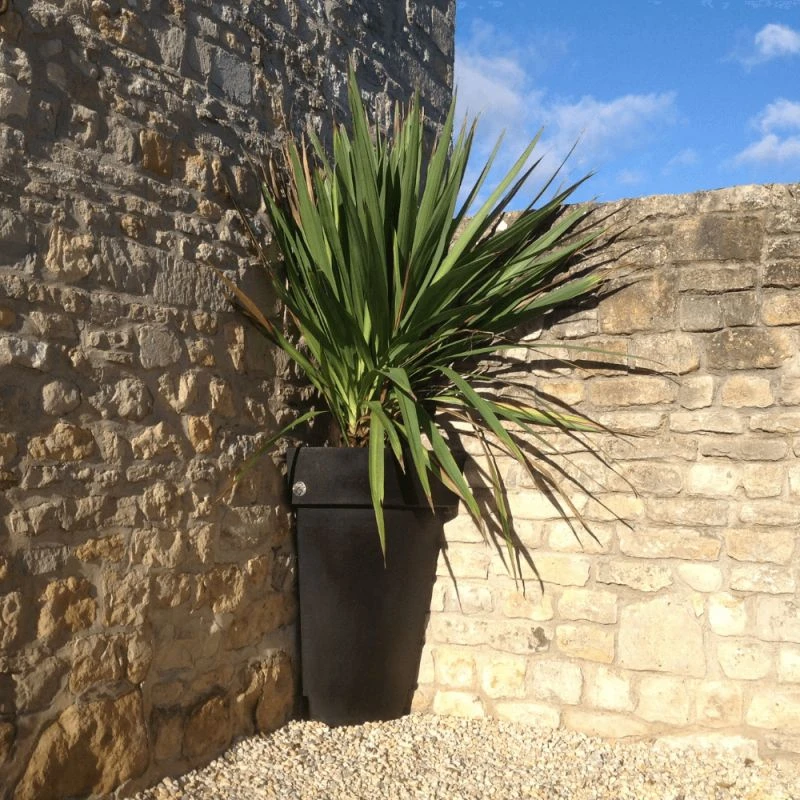 Quart De Pot Rond Déco Lisse Papi - 17L Ou 52L 2 Quart De Pot Rond Déco Lisse Papi - 17L Ou 52L – Image 2